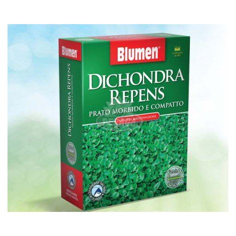 PRATO DICHONDRA REPENS 200GR