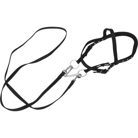 Licol en Corde Noir pour Cheval et Petit Cheval, Nylon, Réglage Confortable, Contrôle Sûr pour L’équitation et L’entraînement Ajustable pour Jeune Cheval, Usage Équitation et Déplacement, Noir Uni, L (1/5)