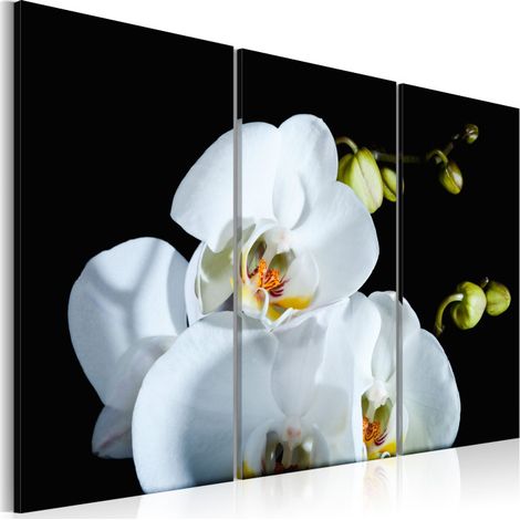 Tableau Imprimé "Orchidée Blanche Comme Neige" 40 x 60 cm (1/2)