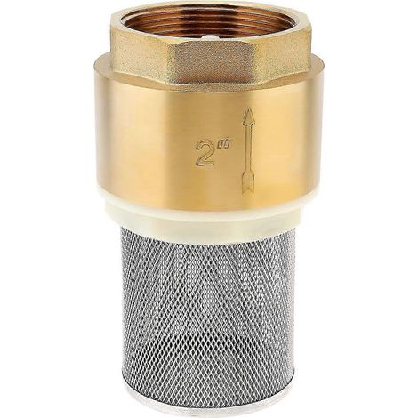 Clapet anti-retour en laiton de 5 cm (2 pouces) avec filtre, pour pompe à eau de fond. (1/4)
