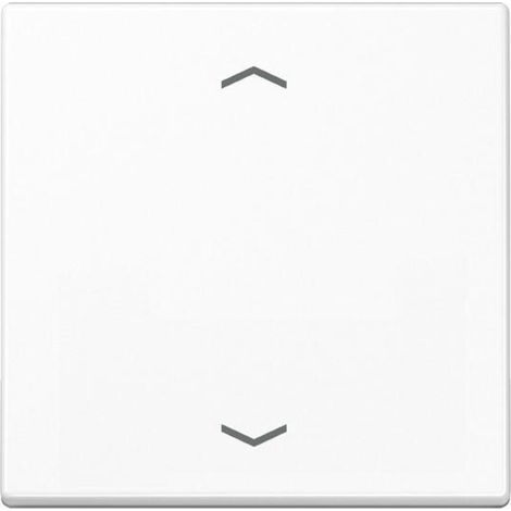 Jung Wippe Symbole aws für Taster A 590 P WW (1/3)