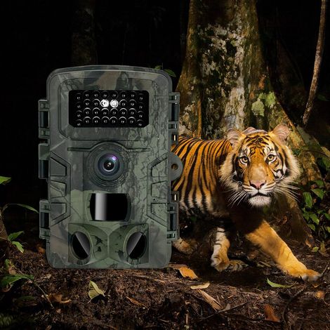 20-MP-Wildkamera, 1080p-HD-Video mit Nachtsicht, Bewegungserkennung, IP66 wasserdicht, ideal für die Wildtierüberwachung und Grundstückssicherung. (1/5)