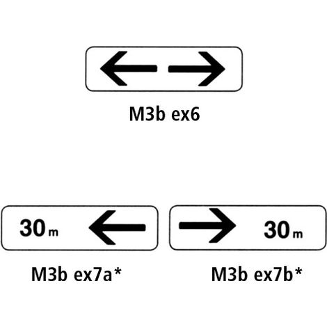 PANONCEAUX ROUTIERS - TYPE M3b (M3bex6galva) - M3b ex6 - 700 x 200 mm