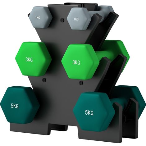 Juego de mancuernas 6 mancuernas con soporte para mancuernas, 2 x 1 kg, 2 x 3 kg, 2 x 5 kg juego de mancuernas de metal para fitness, gimnasia, hogar (1/5)