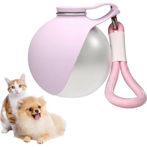 Gourde Chien Portable, 285 ML Gourde pour Chien, Gourde Chien Promenade Acier Inoxydable 304, Gamelle pour Chien Conception Pliable en Silicone Et éTanche,pour Animal Promenades Et Voyages (1/5)