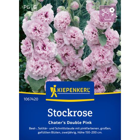 Kiepenkerl Blumensamen Stockrosen Chater’s Double Pink für ca. 30 Pflanzen (1/2)