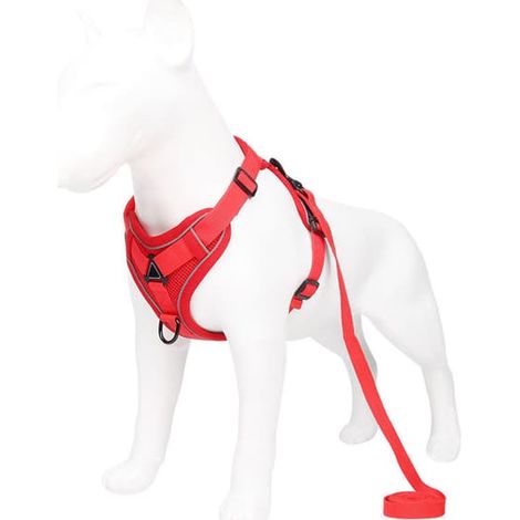 vêtements pour chiensGilet pour animaux avec bande réfléchissante, sac de transport élégant et léger, cadeau d'anniversaire, rouge (1/5)