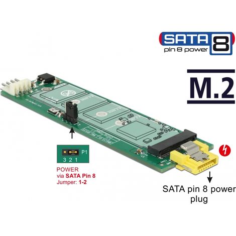 Delock Convertidor SATA 8 pines de potencia hembra Ranura M.2 Key B