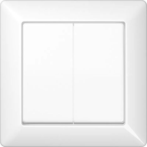 Jung Wippe 2fach, mit integriertem Rahmen, Duroplast, Serie AS, alpinweiß AS 590-5 WW (1/2)