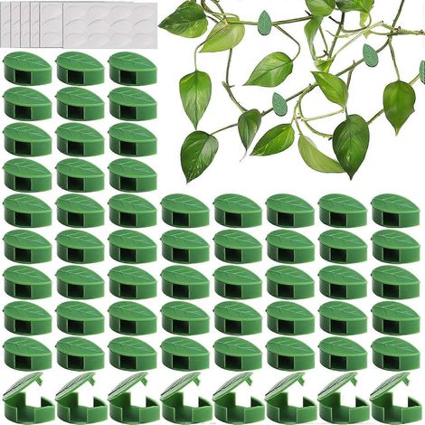 Lot de 60 supports pour plantes grimpantes, clips de fixation pour plantes grimpantes, auto-adhésifs (1/5)