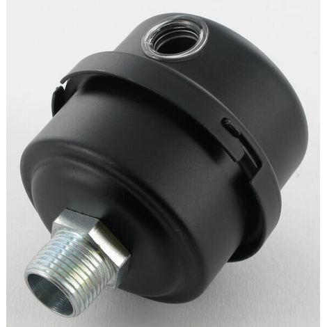 Filtro aspirazione 3/8 BSP FINI 317013000 (1/2)
