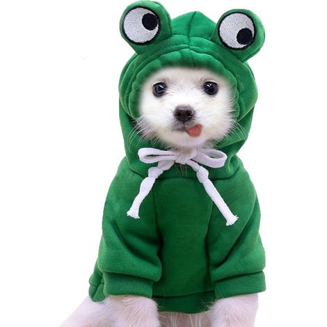 Costumes pour petits chiens, vêtements pour animaux de compagnie - Vêtements charmants et festifs pour animaux de compagnie pour les occasions spéciales (Grenouille verte, Petit) (1/5)