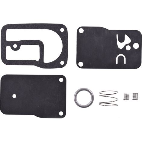 S-giant Kit de réparation de pompe à carburant compatible avec Briggs & Stratton 393397 401400. (1/5)