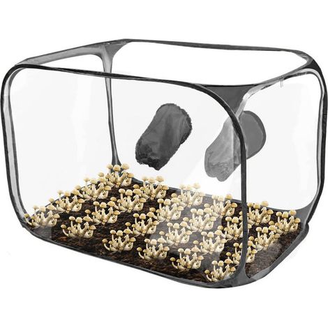 Kit de culture de champignons portable et pliable avec boîte à air statique et système de rebond (noir) (1/5)