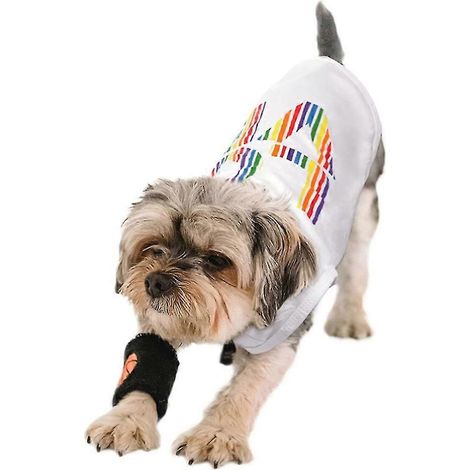 Ropa para perros de primavera y verano, fina, arcoíris (1/5)