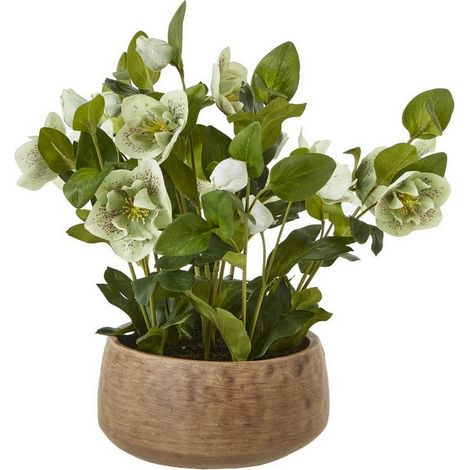 Hellebore Plant in Pot - Plastic - L33 x W38 x H41 cm - Green/Taupe