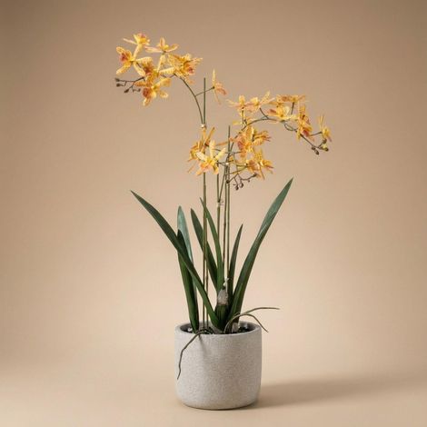 Orchidée Renanthera Artificielle en Pot Fleurs Réalistes Jaune et Orange Hauteur 56 cm - PANGIVO (1/5)