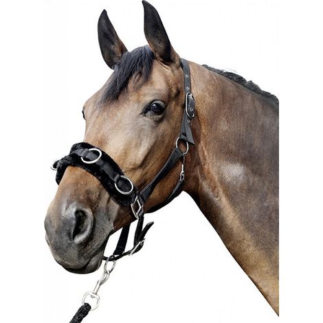 Shettland, Noir 9100: Tétine d'apprivoisement en nylon pour chevaux avec poils