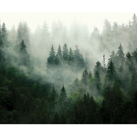 papier peint panoramique montagnes avec des arbres vert  - Sanders & Sanders (1/4)