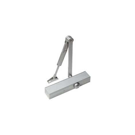 CHIUDIPORTA AEREO SERIE TS 79- - argento (22305601) - 1 pezzi DORMAKABA