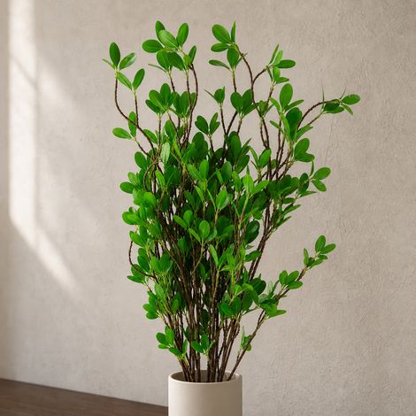Pack of 6 x 100cm Artificial Mini Botanik Ficus Stem Premium (1/5)