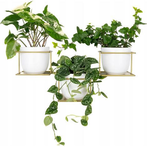 Soporte de pared para macetas Jungle 5, soporte horizontal de metal para 3 macetas, color dorado, colgador de flores moderno. (1/5)