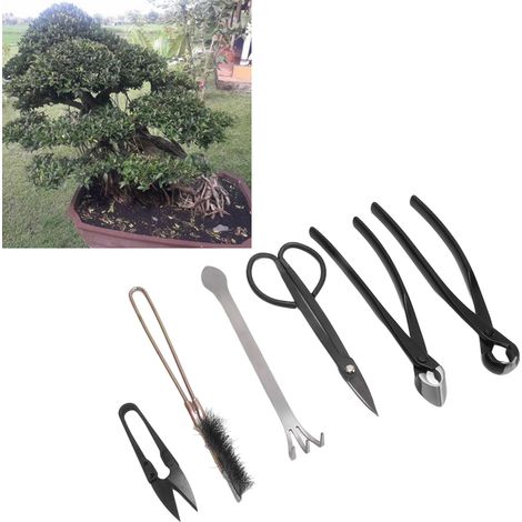 Ensemble d'outils de mise en forme de bonsaï (6 pièces) : pince sphérique, cisaille à bourgeons et outils de taille des branches et des feuilles. (1/5)