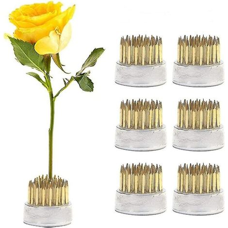 Ensemble de 6 pinces à épingles pour débutants à domicile pour arrangement floral