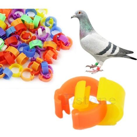 100 Pcs Bird/Pigeon Foot Rings/Pin Identification Rings for Bird Feet, Random Color (Plastic) (1/5)