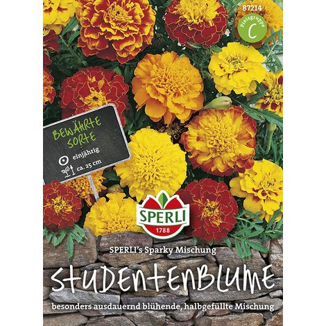 Sperli Studentenblumen Tagetes SPERLI's Sparky Mischung - Blumensamen (1/2)
