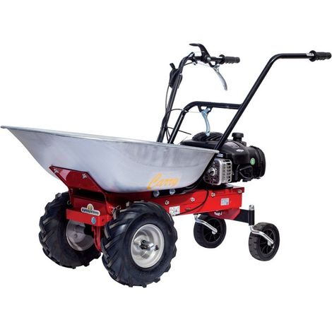 VALGARDEN TP185B Motocarriola A Ruote Portata Kg 100 (1/3)