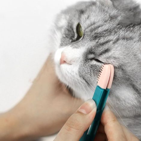 Brosse de toilettage pour chat, peigne pour nettoyer les yeux et retirer les traces de larmes, adaptée aux chats et petits chiens (1/5)