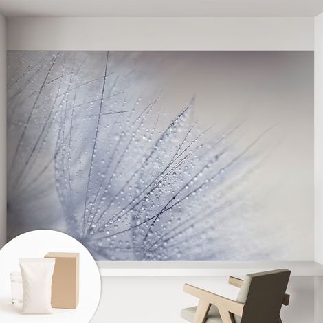 Papier peint intissé mural pour salon chambre à coucher tendance et originale - Colle incluse gratuite Pissenlit couvert de rosée 152x104 cm (1/5)