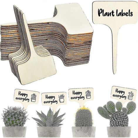 50 étiquettes pour plantes résistantes, étiquettes en bois en forme de T, étiquettes de jardin imperméables (6 x 10 cm) (1/3)