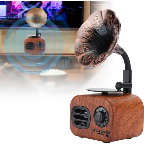 Enceinte Bluetooth Rétro Portable Mini - Haut-parleur Intelligent pour Musique - Compatible Bureau et Ordinateur Portable - Couleur Noix (1/5)