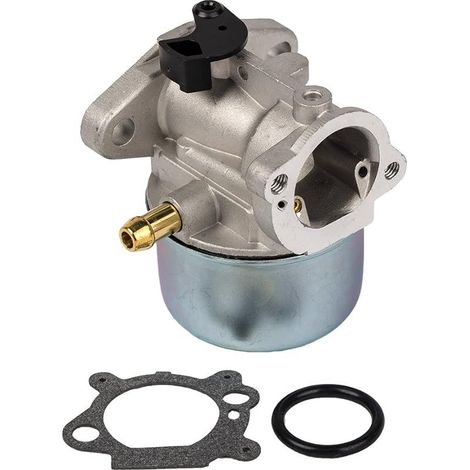 Carburateur 799868 avec joint et joint torique de Compatible with carburateur Briggs & Stratton 498170 498254 497347 497314 (1/5)