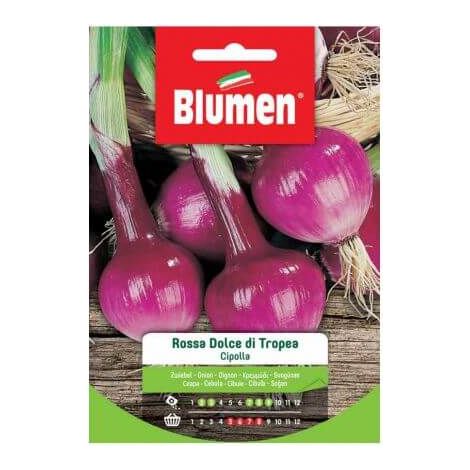Semillas de cebolla roja dulce de Tropea Blumen
