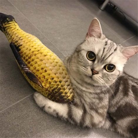 Agiferg Peluche réaliste pour chat en forme de poisson, à l'herbe à chat et à la menthe, 20 cm (1/5)
