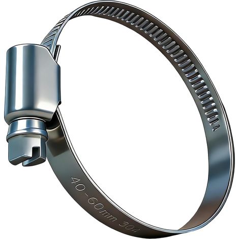 10 Pièces Colliers de Serrage Tuyau 20-32mm Inox A2 V2A 304 Réglables Serre Tuyau Métallique à Vis sans Fin pour Tuyaux et Raccords,Jardin (1/5)