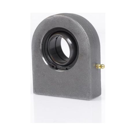 GF20 DO 20MM INA Head Ball