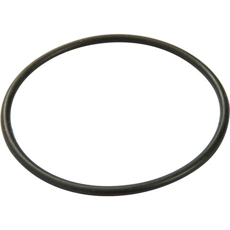 BESTWAY - P6118 - O ring per coperchio pompa a cartuccia 58381 (1/2)