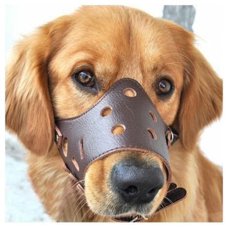 Chien en Cuir Muselière Anti aboiement pour Les Grands Chiens de Petite Taille Moyenne L (1/5)