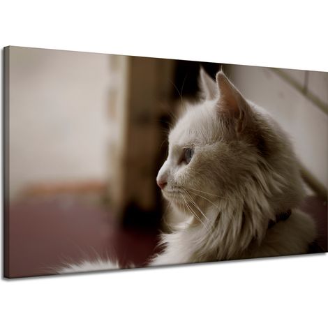 Lienzo impreso con la imagen de un gato blanco (120x70 cm).