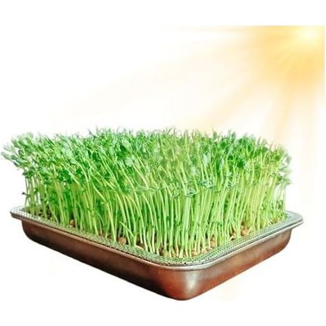Keimschale aus Edelstahlgewebe mit großem Fassungsvermögen für den Innen- und Außenbereich, Garten und Haushalt. (1/5)