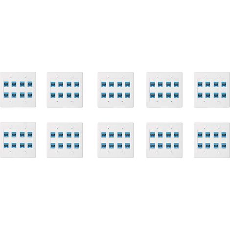 10X Plaque Murale Ethernet 8 Ports - Double Gang Cat6 RJ45 Jack Câble RéSeau FaçAde à - Bleu (1/5)