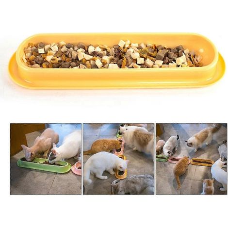 Gamelle inclinée pour eau et nourriture de plusieurs chatons, 34,5 cm de long (1/4)