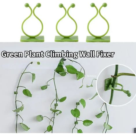 (Blanc - S, 20 pièces) 20 clips de fixation pour plantes grimpantes, crochets de fixation pour rotin, tuteurs auto-adhésifs invisibles. (1/4)