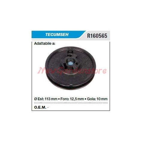 Puleggia avviamento TECUMSEH tagliaerba rasaerba R160565