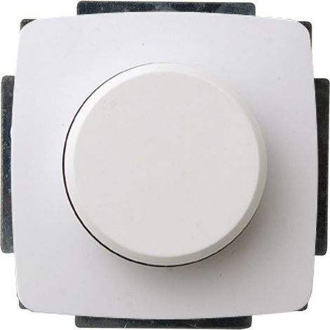Helligkeitsregler aus Kunststoff, in Polarweiß, 50-300 Watt (1/5)