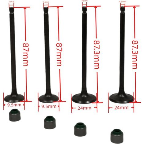 Joints de queue de soupape de moteur de moto adaptés aux modèles BAJAJ PULSAR NS160 et NS150. (1/4)
